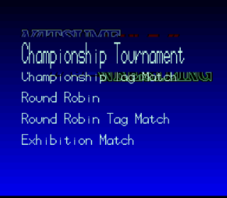 Screenshot Thumbnail / Media File 1 for Natsume Championship Wrestling (USA)