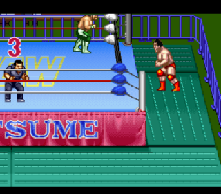 Screenshot Thumbnail / Media File 1 for Natsume Championship Wrestling (USA)