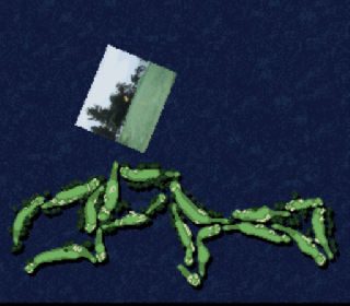 Screenshot Thumbnail / Media File 1 for Pebble Beach Golf Links (Europe)