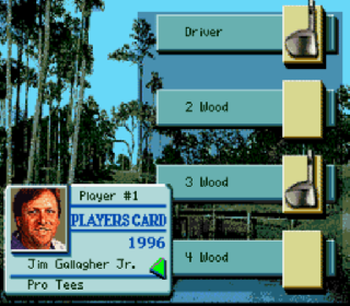 Screenshot Thumbnail / Media File 1 for PGA Tour '96 (Europe)