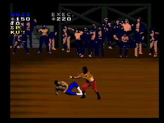 Screenshot Thumbnail / Media File 1 for Pit-Fighter (USA)