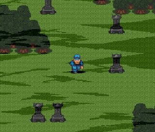 Screenshot Thumbnail / Media File 1 for Ranma 1-2 - Akanekodan Teki Hihou (Japan)