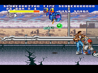 Screenshot Thumbnail / Media File 1 for Sengoku Denshou (Japan)