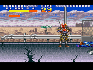 Screenshot Thumbnail / Media File 1 for Sengoku Denshou (Japan)