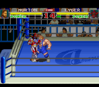 Screenshot Thumbnail / Media File 1 for Shin Nihon Pro Wresling - Chou Senshi in Tokyo Dome - Fantastic Story (Japan)