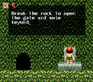 Screenshot Thumbnail / Media File 1 for Super Adventure Island II (USA)