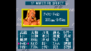 Screenshot Thumbnail / Media File 1 for Super Fire Pro Wrestling 2 (Japan)