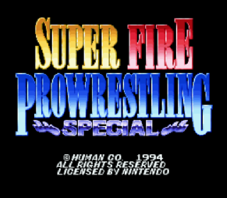 Screenshot Thumbnail / Media File 1 for Super Fire Pro Wrestling Special (Japan) (Rev A)