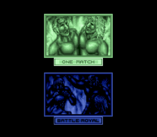 Screenshot Thumbnail / Media File 1 for Super Fire Pro Wrestling Special (Japan) (Rev A)