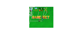 Screenshot Thumbnail / Media File 1 for Super Soccer Champ (USA)
