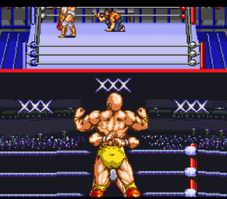 Screenshot Thumbnail / Media File 1 for Tenryuu Genichiro no Pro Wrestling Revolution (Japan)