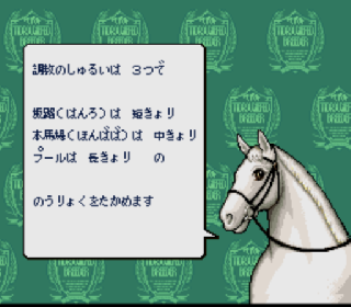 Screenshot Thumbnail / Media File 1 for Thoroughbred Breeder (Japan)