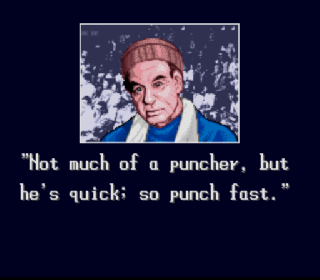 Screenshot Thumbnail / Media File 1 for TKO Super Championship Boxing (USA) (Sample)