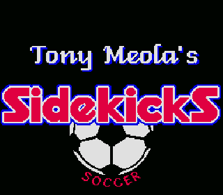 Screenshot Thumbnail / Media File 1 for Tony Meola's Sidekicks Soccer (USA)