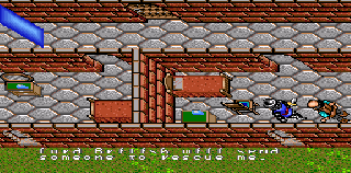 Screenshot Thumbnail / Media File 1 for Ultima - Runes of Virtue II (USA) (Beta) (1993-07-30)