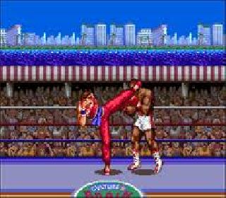 Screenshot Thumbnail / Media File 1 for Ultimate Fighter (USA)