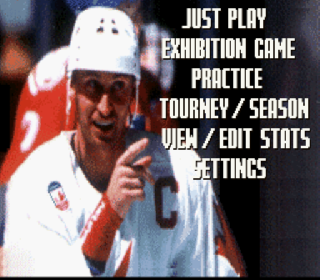 Screenshot Thumbnail / Media File 1 for Wayne Gretzky and the NHLPA All-Stars (USA) (Beta)