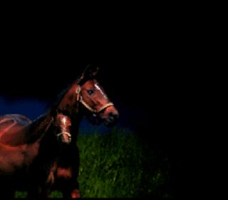 Screenshot Thumbnail / Media File 1 for Winning Post 2 - Program '96 (Japan) (Rev A)