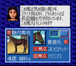 Screenshot Thumbnail / Media File 1 for Winning Post (Japan) (Rev A)