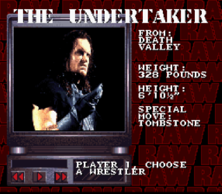 Screenshot Thumbnail / Media File 1 for WWF Raw (USA)