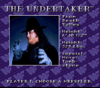 Screenshot Thumbnail / Media File 1 for WWF Royal Rumble (Japan)
