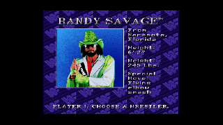 Screenshot Thumbnail / Media File 1 for WWF Royal Rumble (USA)