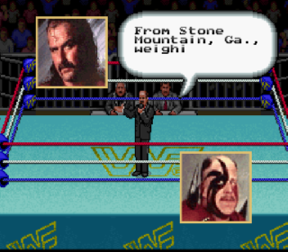 Screenshot Thumbnail / Media File 1 for WWF Super WrestleMania (Japan)