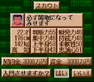 Screenshot Thumbnail / Media File 1 for Yokozuna Monogatari (Japan)