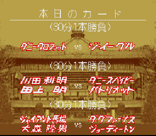 Screenshot Thumbnail / Media File 1 for Zen-Nihon Pro Wrestling 2 - 3-4 Budoukan (Japan)