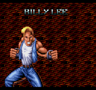 download battletoads and double dragon