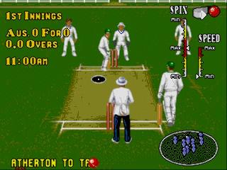 Screenshot Thumbnail / Media File 1 for Brian Lara Cricket (Europe) (March 1995)
