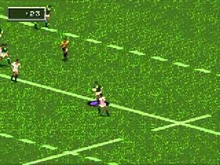 Screenshot Thumbnail / Media File 1 for Rugby World Cup 1995 (USA, Europe) (En,Fr,It)