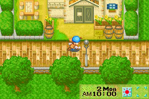 Download Game Harvest Moon Friend Of Mineral Town ...