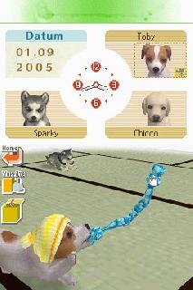 Screenshot Thumbnail / Media File 1 for Nintendogs - Chihuahua & Friends (U)(Lube)