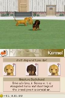 Screenshot Thumbnail / Media File 1 for Nintendogs - Chihuahua & Friends (U)(Lube)