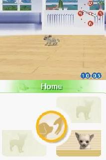 Screenshot Thumbnail / Media File 1 for Nintendogs - Chihuahua & Friends (U)(Lube)