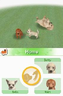 Screenshot Thumbnail / Media File 1 for Nintendogs - Dachshund & Friends (U)(Lube)