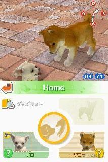 leveled up lab and friends nintendogs rom
