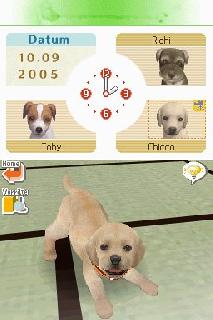 Screenshot Thumbnail / Media File 1 for Nintendogs - Dachshund & Friends (E)(Trashman)