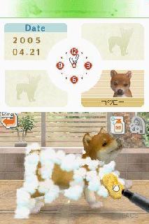 Screenshot Thumbnail / Media File 1 for Nintendogs - Labrador & Friends (K)(Independent)