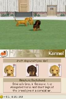 Screenshot Thumbnail / Media File 1 for Nintendogs - Chihuahua & Friends (K)(Independent)