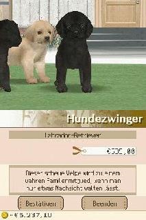Screenshot Thumbnail / Media File 1 for Nintendogs - Chihuahua & Friends (v01) (J)