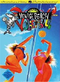 volleyball nes