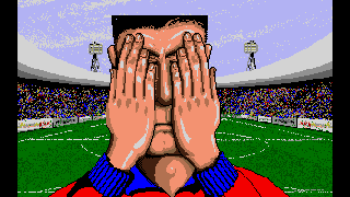 Screenshot Thumbnail / Media File 1 for Soccer Superstars (1995)(Flair)(M5)