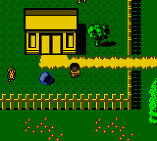 Screenshot Thumbnail / Media File 1 for Animorphs (Europe) (En,Fr,De,Es,It)