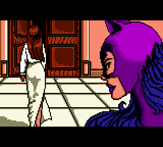 Screenshot Thumbnail / Media File 1 for Catwoman (USA)