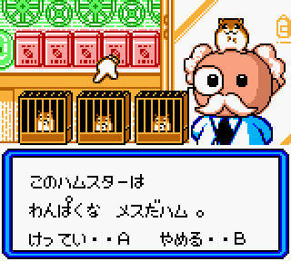 Screenshot Thumbnail / Media File 1 for Hamster Paradise (Japan)