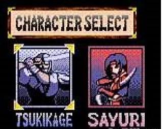 Screenshot Thumbnail / Media File 1 for Return of the Ninja (USA)