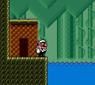 Screenshot Thumbnail / Media File 1 for Wario Land 3 (World) (En,Ja)