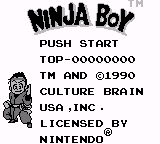 Screenshot Thumbnail / Media File 1 for Ninja Boy (USA, Europe)